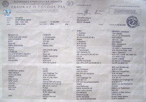 Obrázok